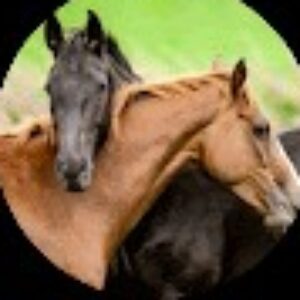 Profile photo of Giacomina and Paul Marie